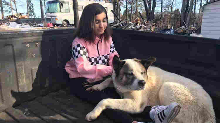 Family Reunites With Dog That Disappeared During The Deadly Camp Fire