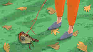 Death: Talking With Kids About The End