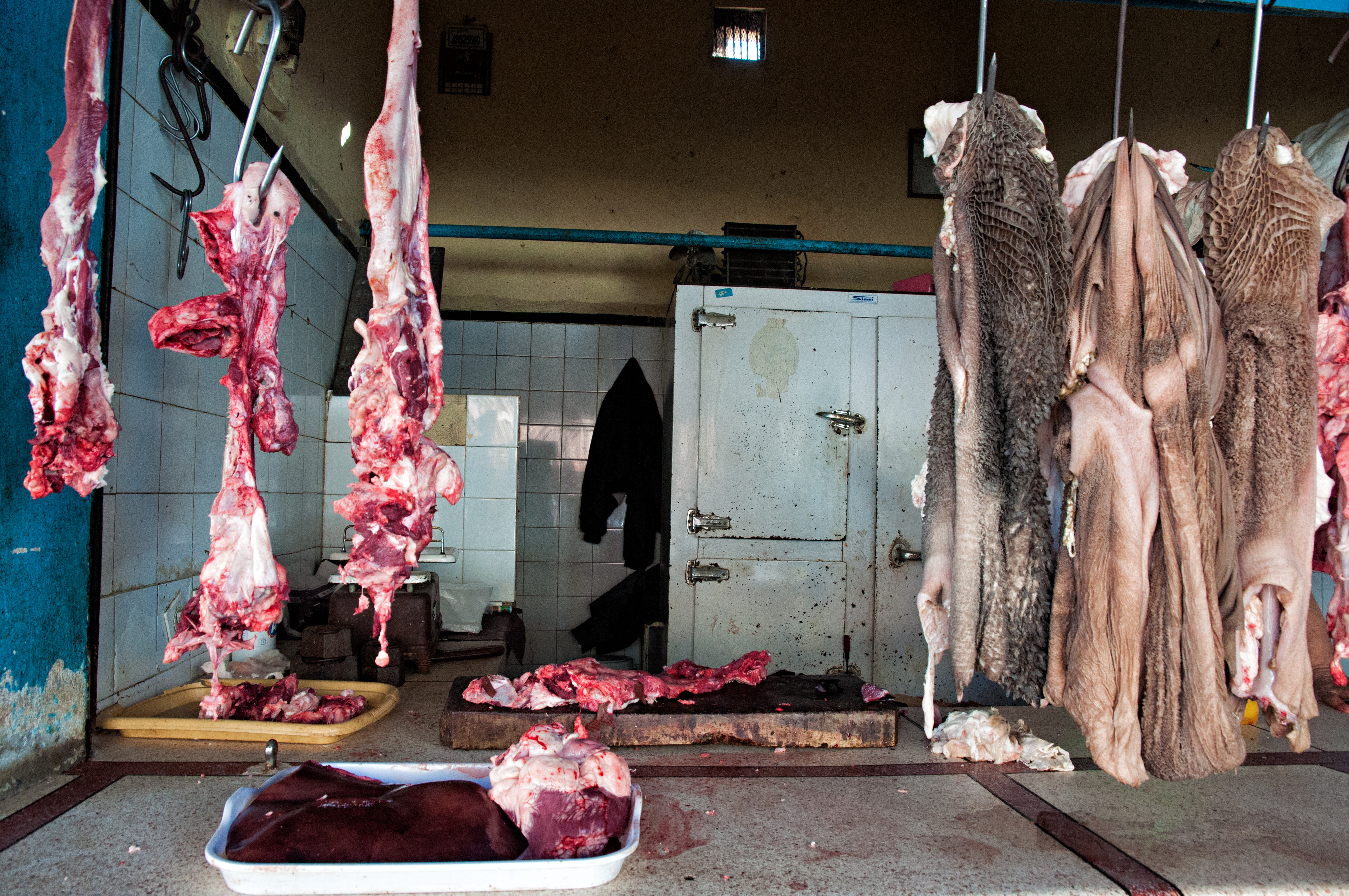 A Fatal Public Health Problem In Africa That Flies Under The Radar Meat At A Butcher S In Moroccan Market Lack Of Refrigeration Contributes To Africa High Rate Foodborne Illnesses Image Raquel Maria Carbonell
