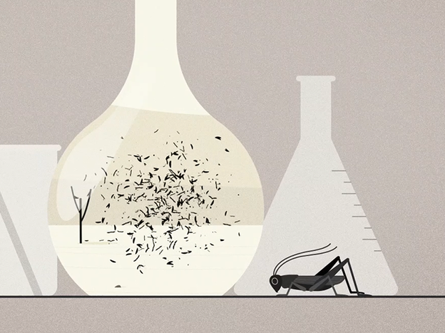 Why did it literally take centuries for scientists to identify locusts and grasshoppers as the same creatures? Maybe it has something to do with our own sense of self.