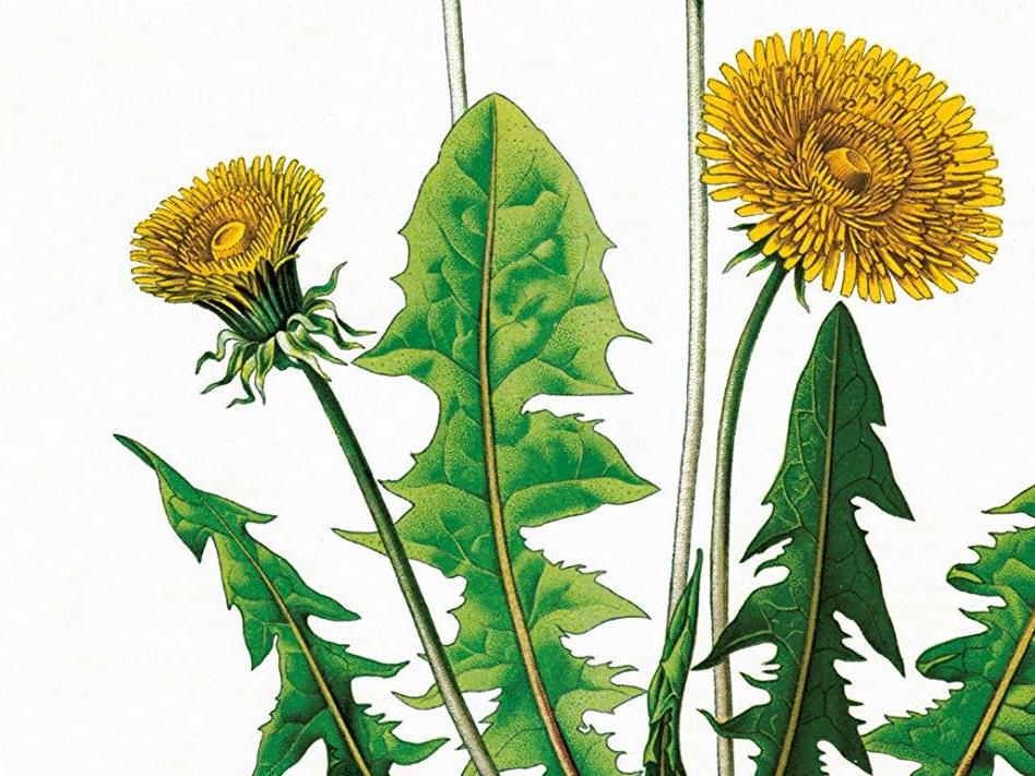 'The Altruists' asks: How do you live a good life?