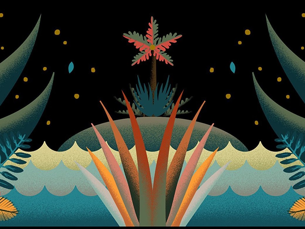 Building a home of stories in 'The Bird King'