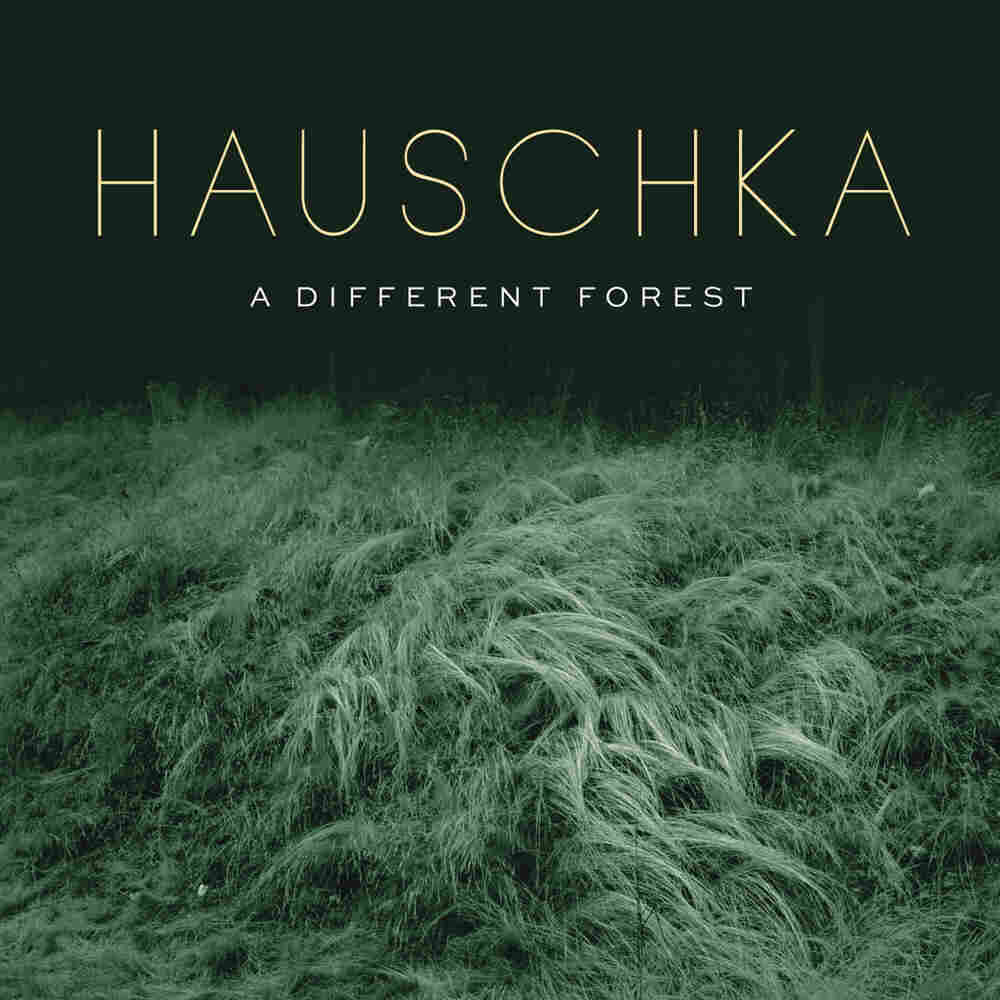 Hauschka, A Different Forest