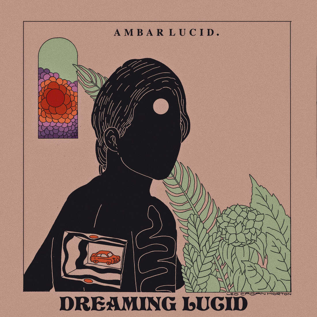 Ambar Lucid