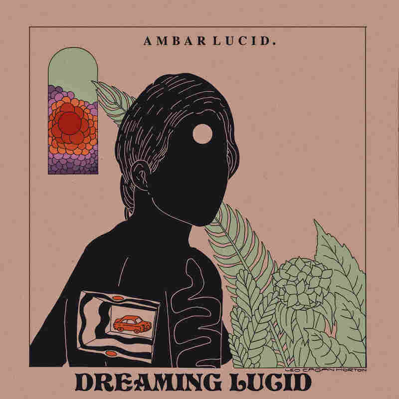 Ambar Lucid