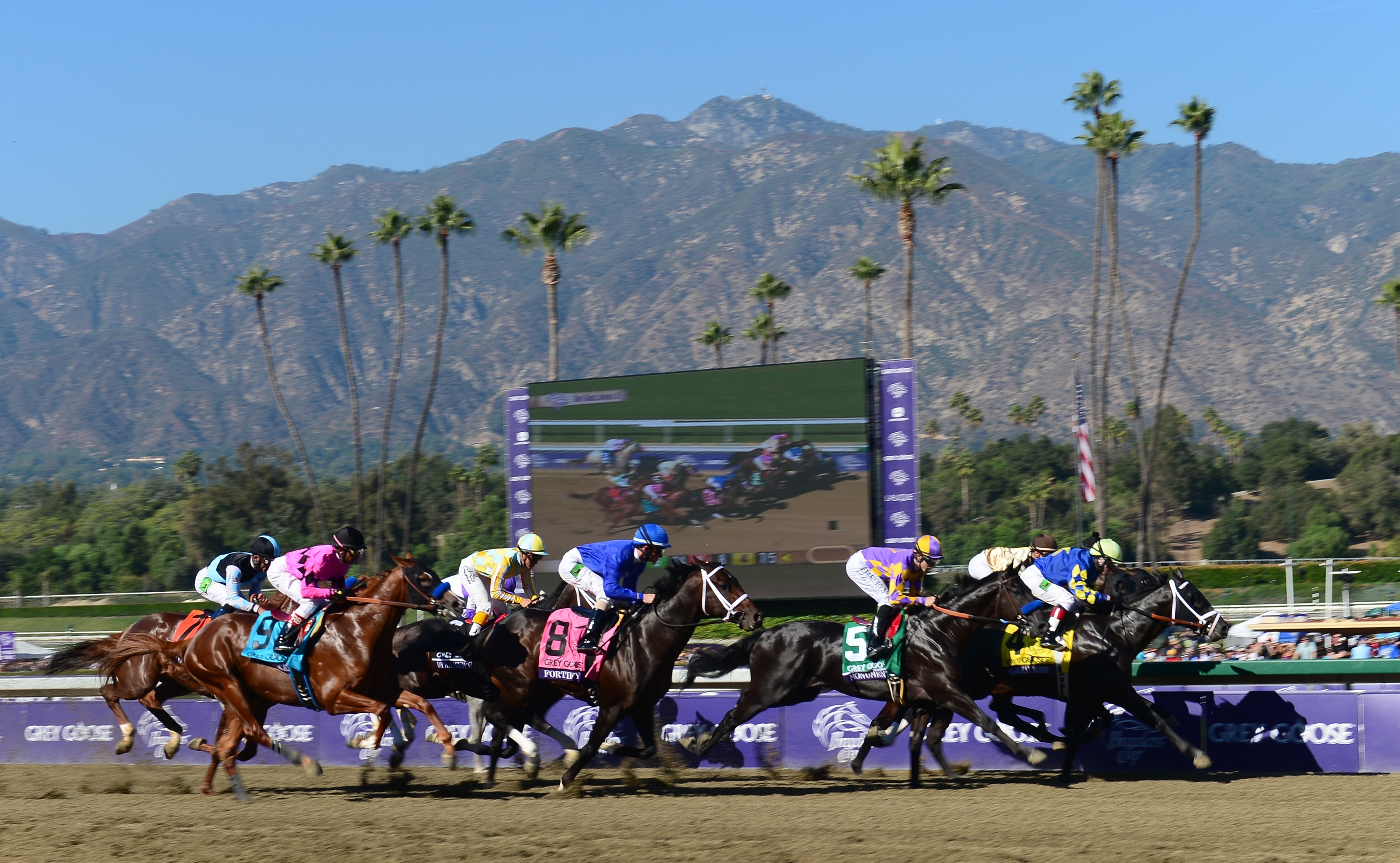 Santa Anita Park, shown here in 2012, has halted races and training to try to determine what is causing the horse deaths. (AFP/Getty Images)
