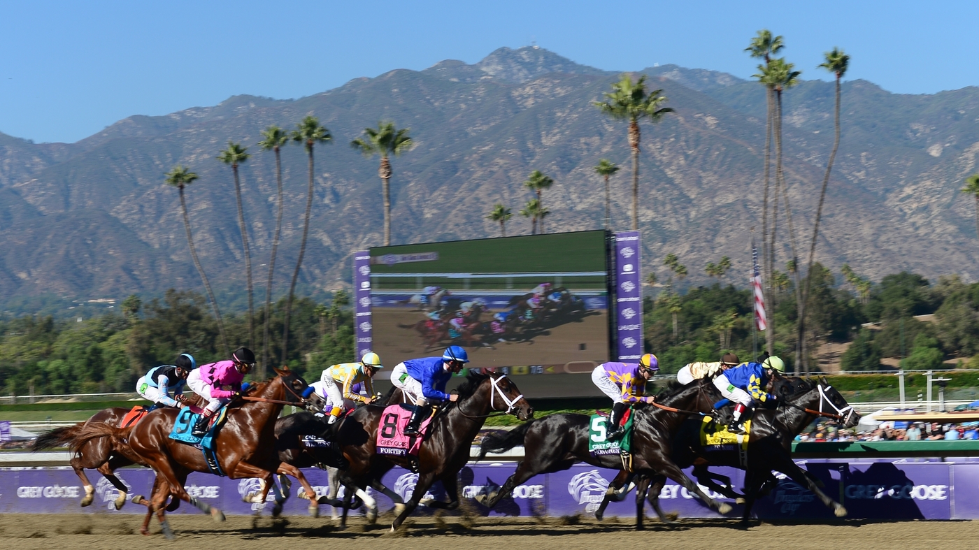 Santa Anita Horse Deaths No Clear Answer From Experts NPR