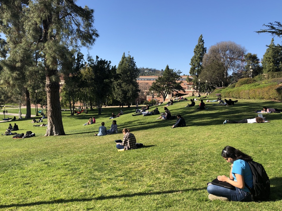 Students at UCLA and elsewhere are not surprised at the admissions cheating scandal rocking the higher education world. They are more frustrated, and cynical. UCLA was one of the institutions caught up in the scam.