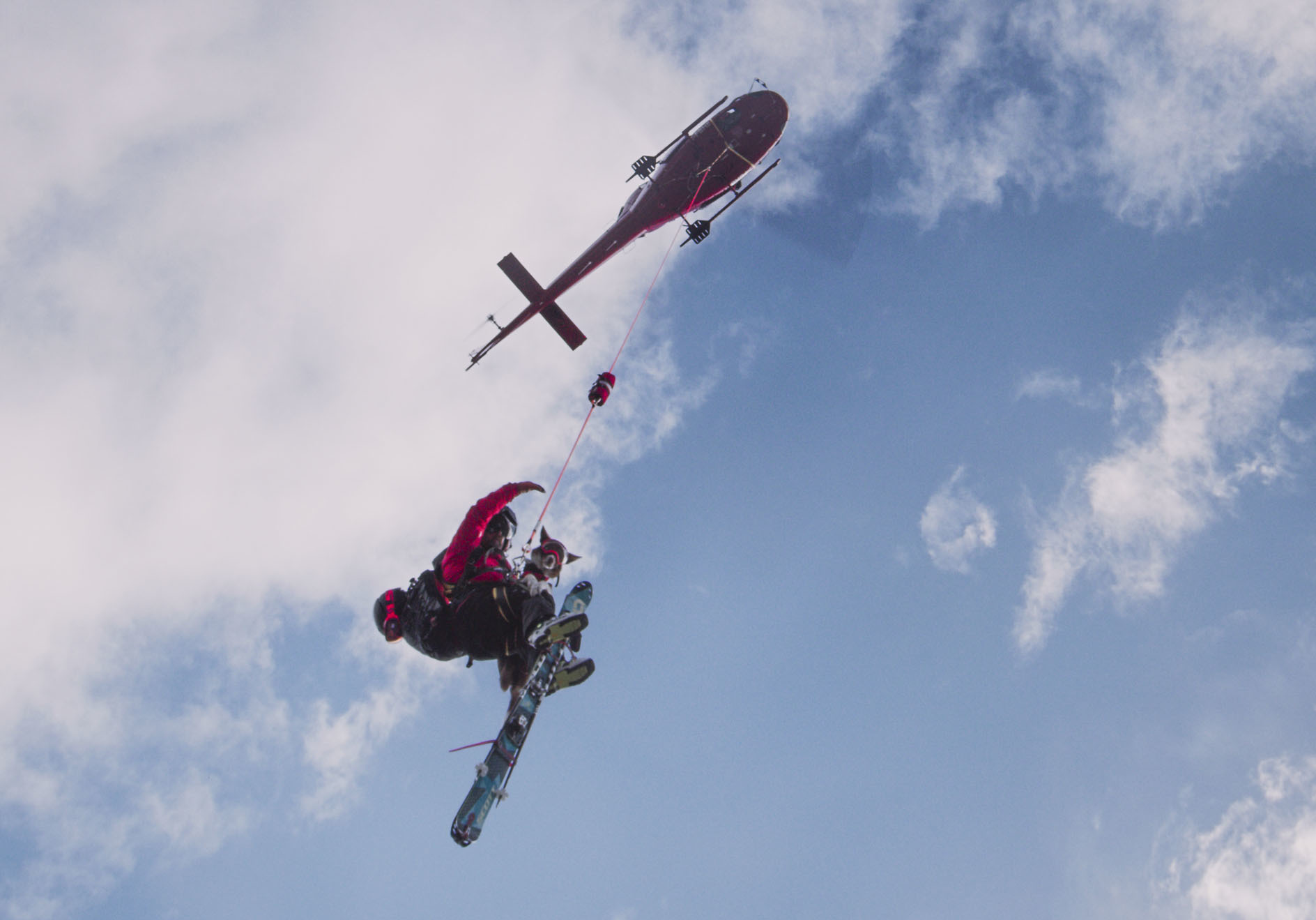 Henry, a border collie with the Canadian Avalanche Rescue Dog Association, flies with his handler over ski slopes in the Canadian Rockies. He is one of six dogs profiled in the IMAX film <em>Superpower Dogs.</em> (Cosmic Picture Limited)