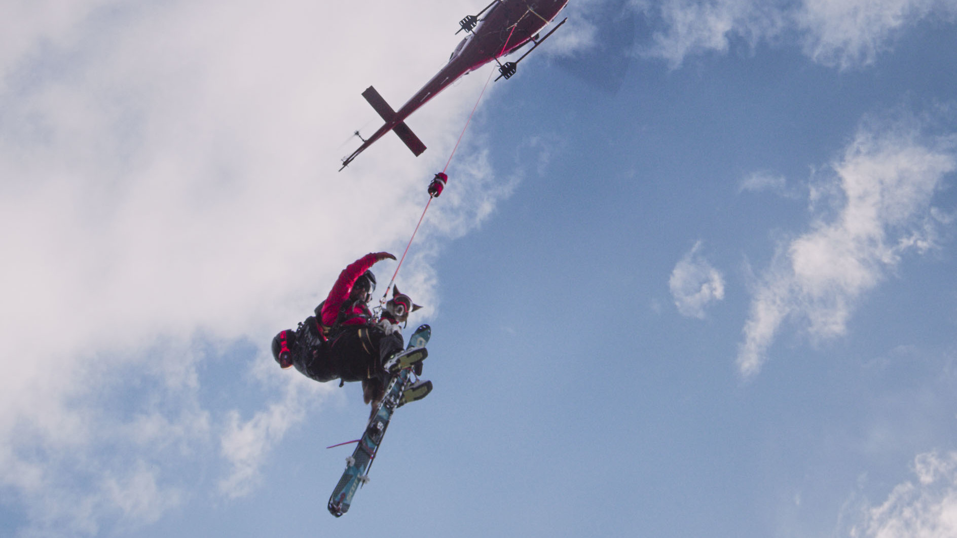 Henry, a border collie with the Canadian Avalanche Rescue Dog Association, flies with his handler over ski slopes in the Canadian Rockies. He is one of six dogs profiled in the IMAX film Superpower Dogs.
