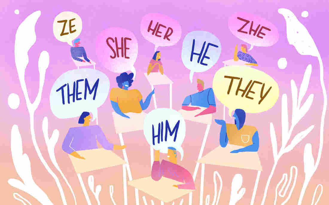 Some colleges now let students input their pronouns into campus data systems.