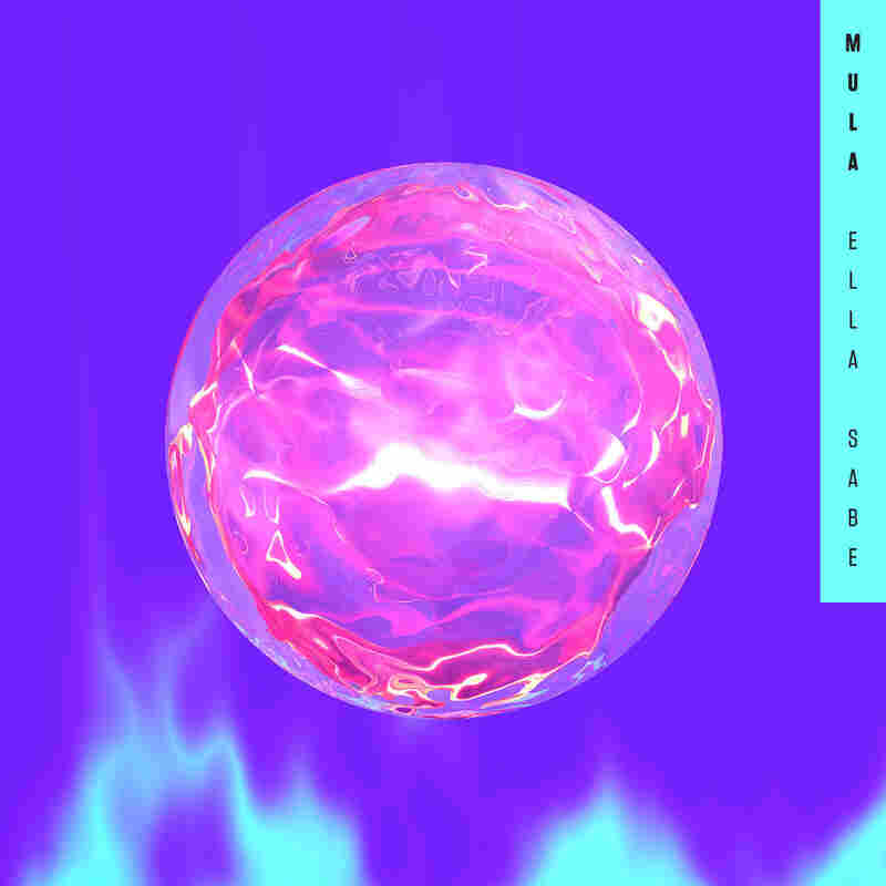 Mula