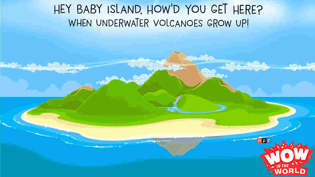 If you could take one item to a desert island what would it be? A pacifier? A rattle? How about a diaper? Well that might be just what you need if you're visiting an itty bitty baby island!