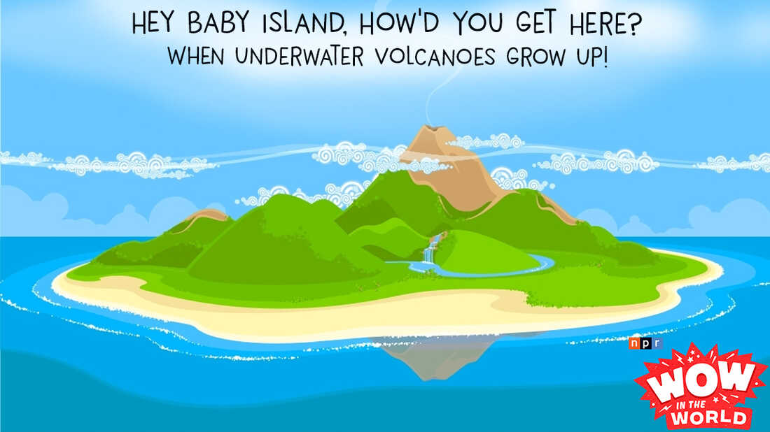 If you could take one item to a desert island what would it be? A pacifier? A rattle? How about a diaper? Well that might be just what you need if you're visiting an itty bitty baby island!