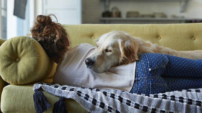 Teen Night Owls Struggle To Learn And >> Sleep Npr Teen Night Owls Struggle To Learn And >> Sleep Npr