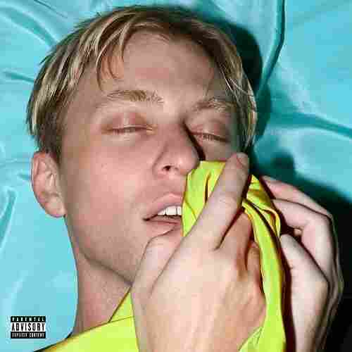 The Drums, Brutalism