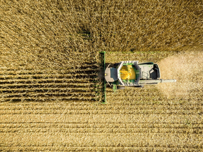 New Study Finds That Money Has Large >> Growing Corn Is A Major Contributor To Air Pollution Study Finds New Study Finds That Money Has Large >> Growing Corn Is A Major Contributor To Air Pollution Study Finds