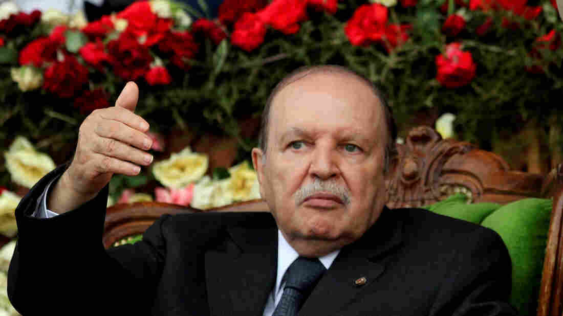 Algeria's Bouteflika quits after protests Algeria's Bouteflika quits after protests