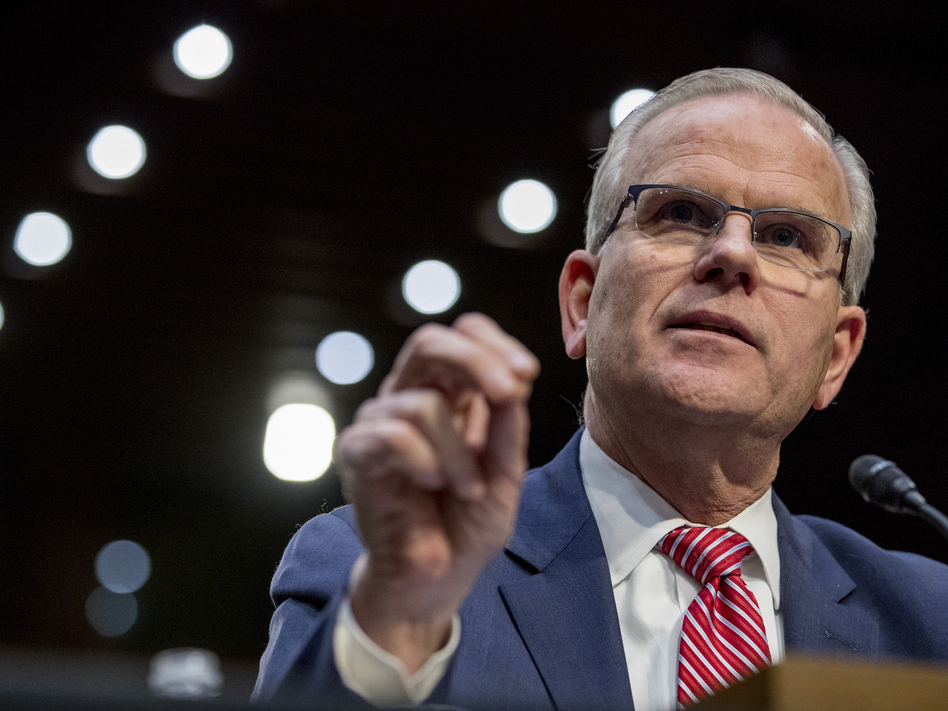 At a Senate hearing March 27, Daniel Elwell, acting director of the Federal Aviation Administration, said airline pilots had enough training to handle Boeing's flight control software. But some pilots disagree. (Andrew Harnik/AP)