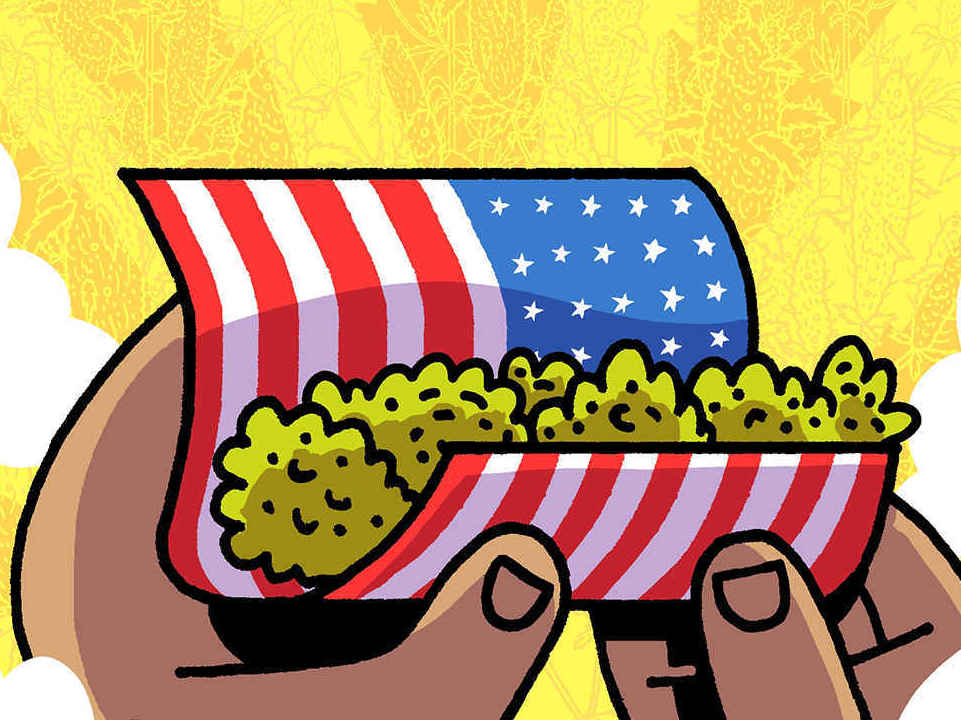 Beyond 'Reefer Madness': Box Brown's graphic history tells story of a maligned plant