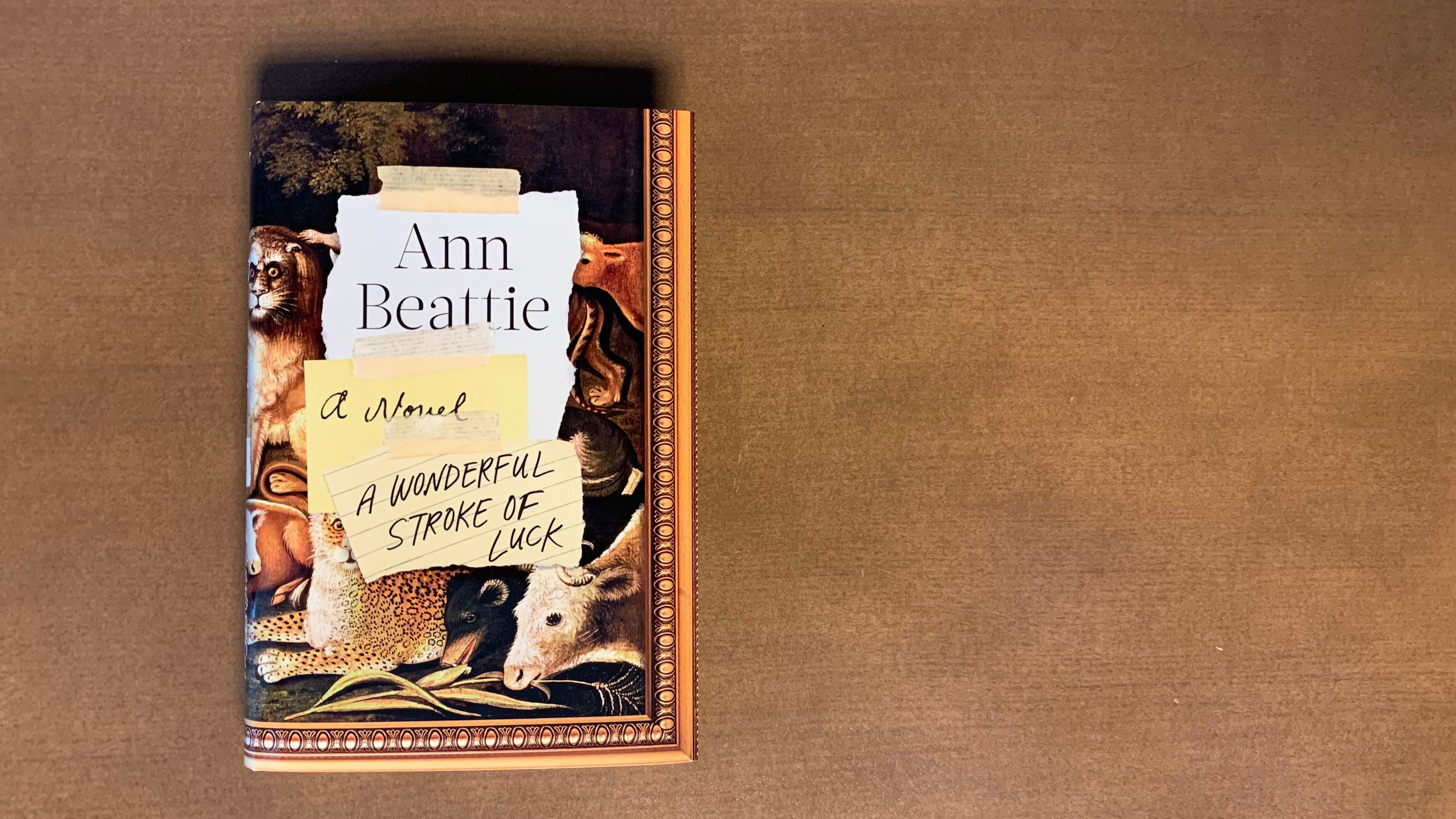 A Wonderful Stroke of Luck by Ann Beattie