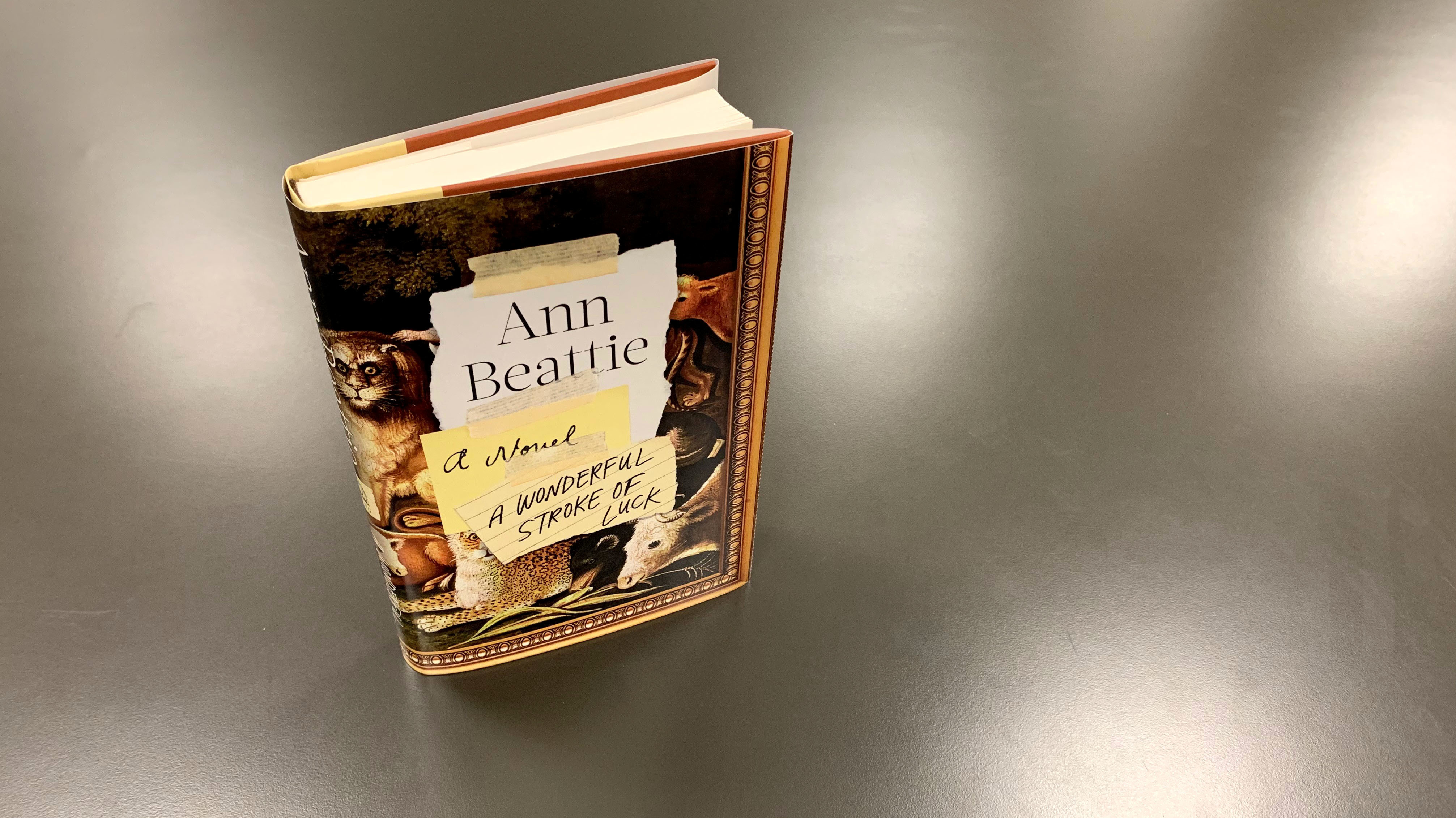 A Wonderful Stroke of Luck by Ann Beattie