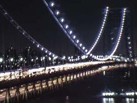 'Pickle's Progress' is a weird -- but secretly sweet -- journey