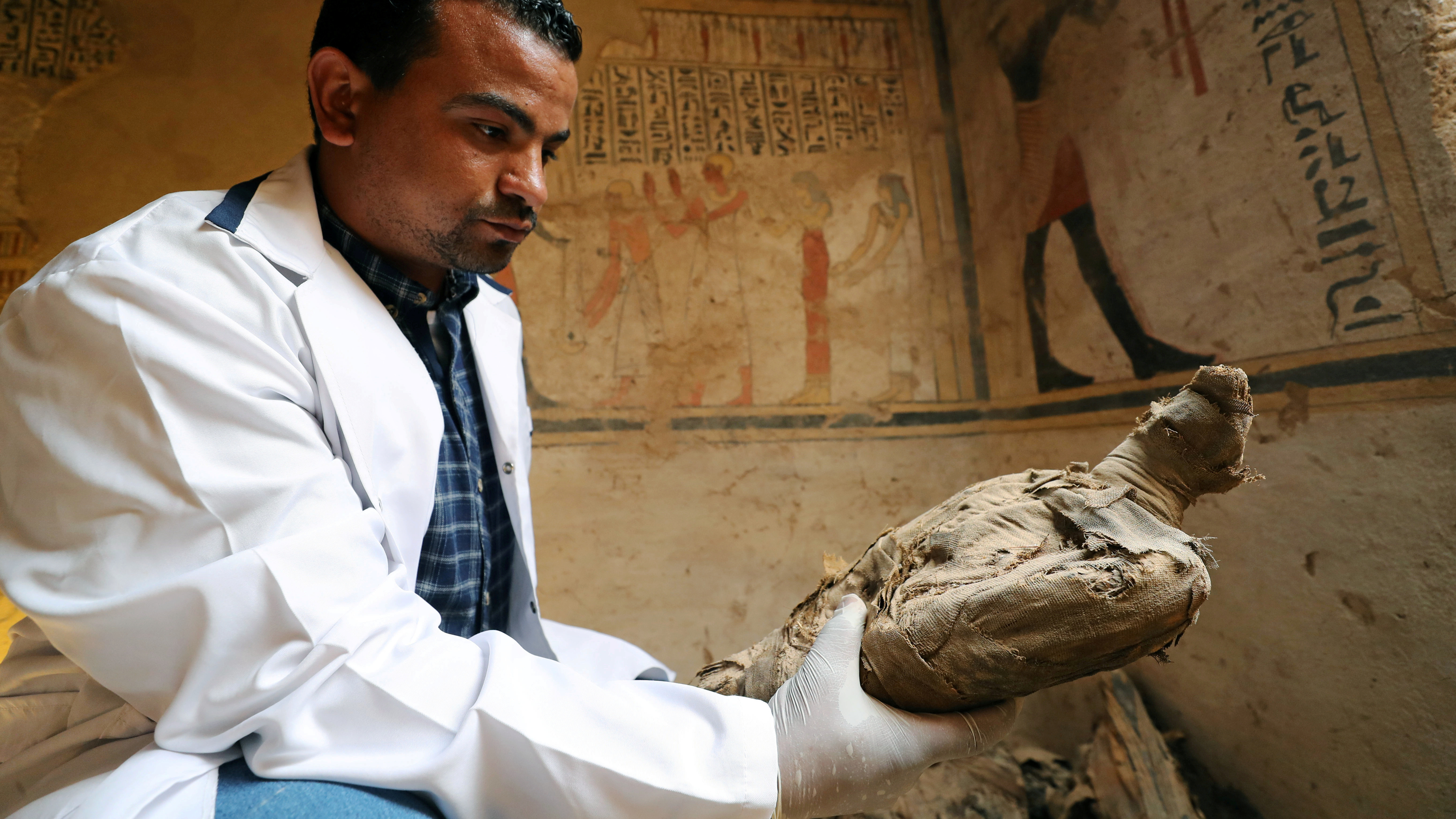 An archeologist holds an ancient mummified bird that was found in a burial site unveiled on Friday.