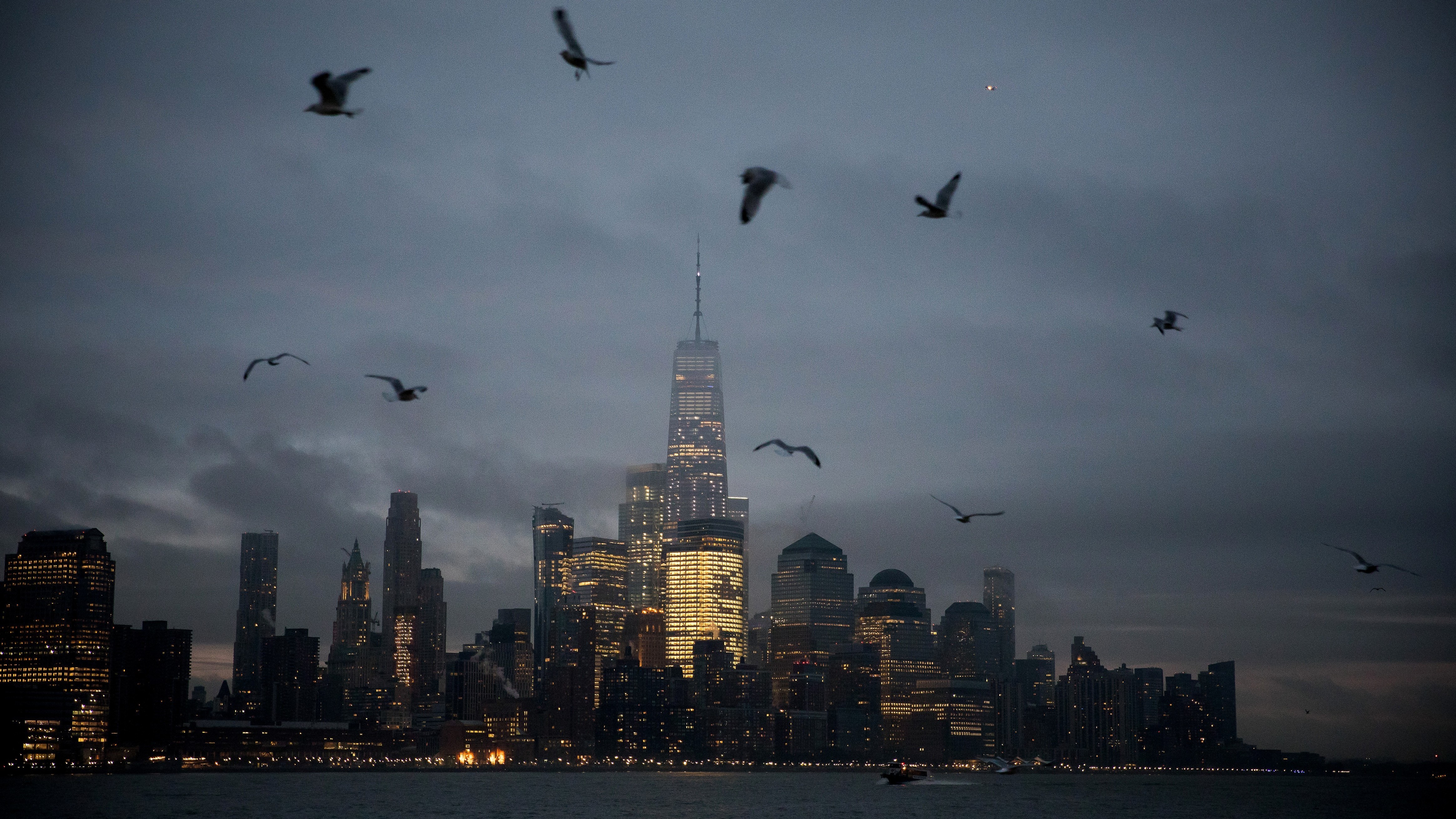One World Trade Center (WTC) stands in the lower Manhattan skyline as birds fly over the Hudson River in Hoboken, New Jersey, on Feb. 8, 2019. (Michael Nagle/Bloomberg via Getty Images)