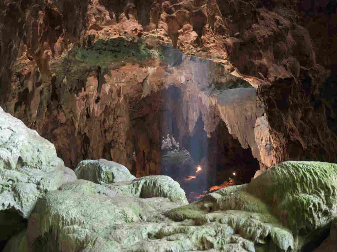 Bones found in Philippines may belong to previously unknown human relative Bones found in Philippines may belong to previously unknown human relative