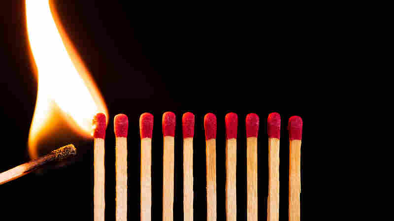 What does it take to ignite a movement?