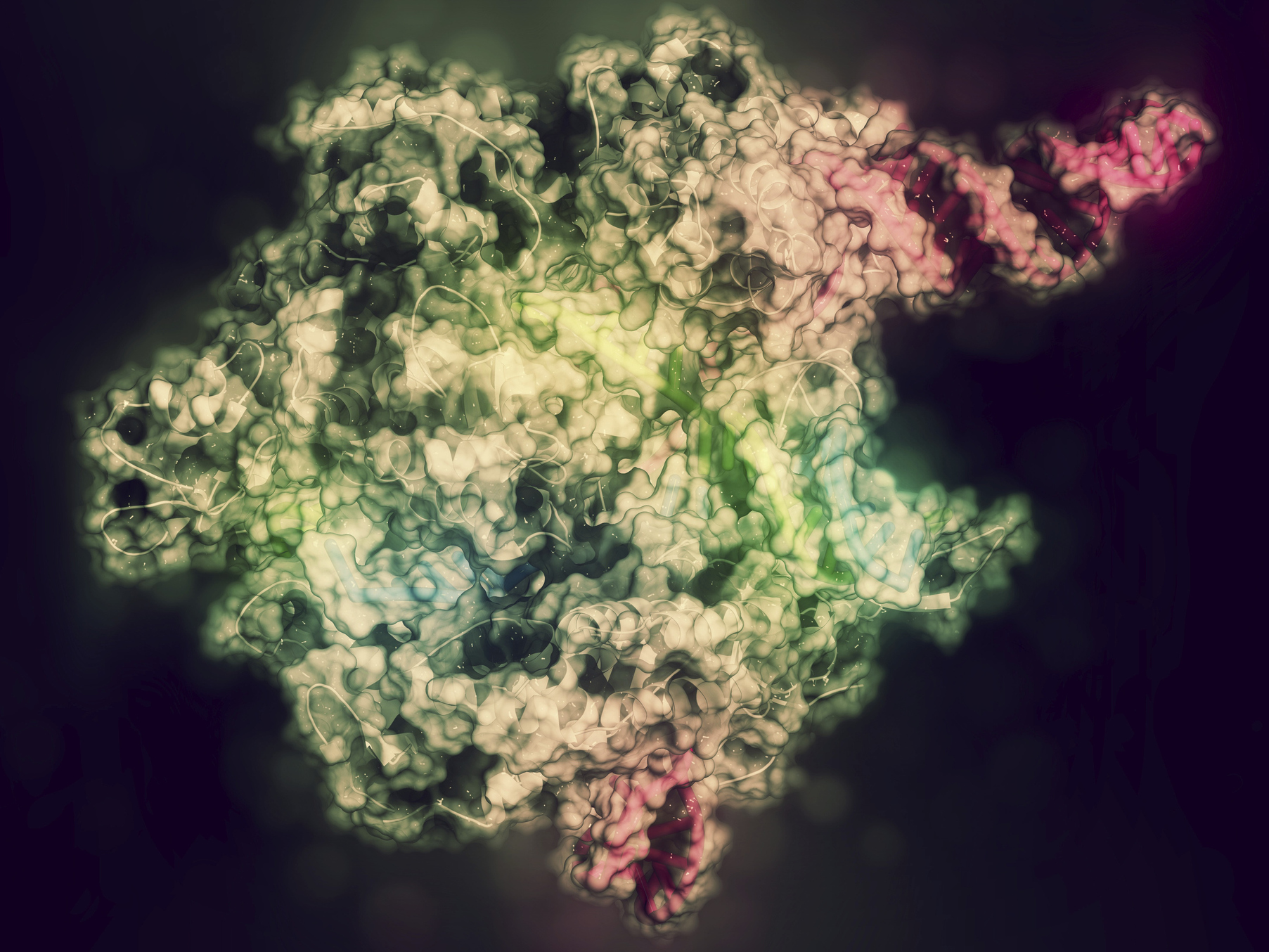 CRISPR gene-editing technology allows scientists to make highly precise modifications to DNA. The technology is now starting to be used in human trials to treat several diseases in the U.S. (Getty Images/Science Photo Library)