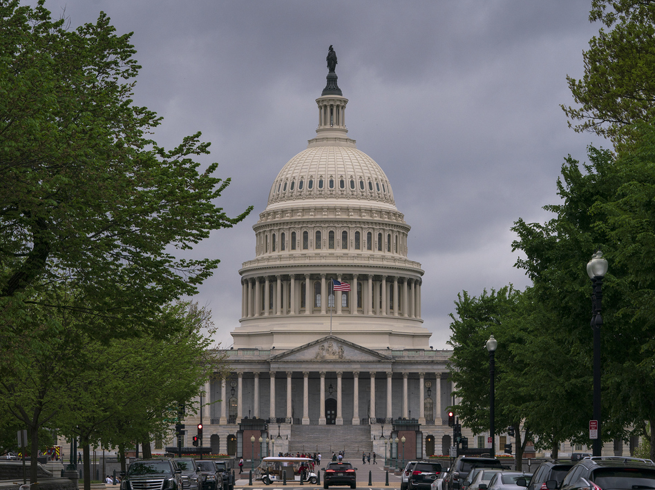 Democrats running to succeed President Trump are split over whether Congress should impeach him. (J. Scott Applewhite/AP)