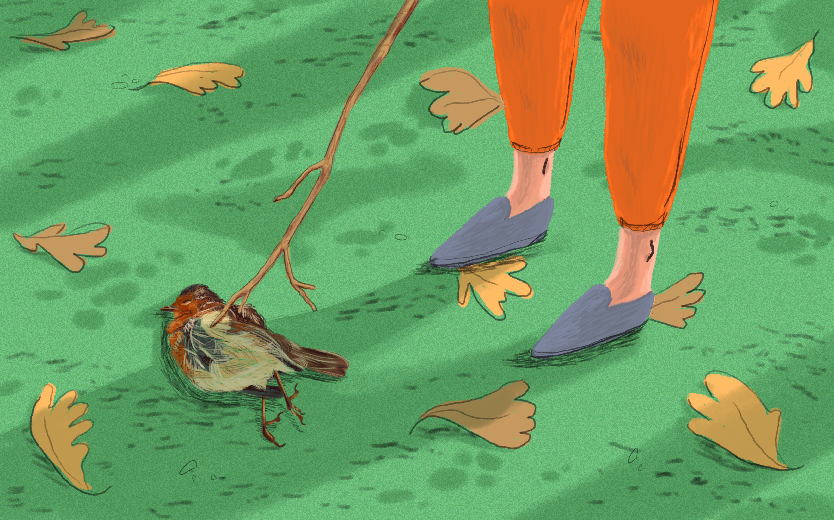  (NPR)