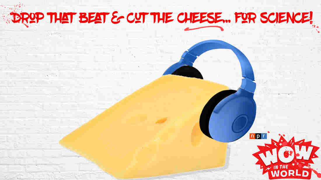 Would you care for a little brie marinated in hip hop? How about some cheddar dipped in rock and roll? Swiss serenaded by an up-beat pop classic! Turns out that cheese have preferences when it comes to music, and those preferences determine everything from their taste to their smell!