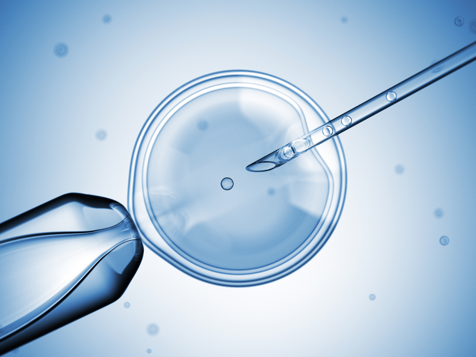 As scientists learn more about the complex way genes combine and work together to create human traits, the idea of &quot;designer babies&quot; becomes less and less likely. (Getty Images)