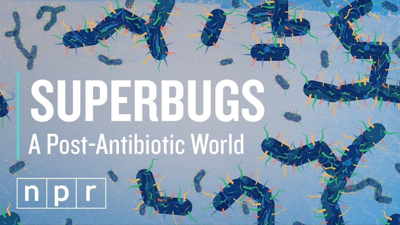 VIDEO: Are We Headed Toward A Post-Antibiotic World?