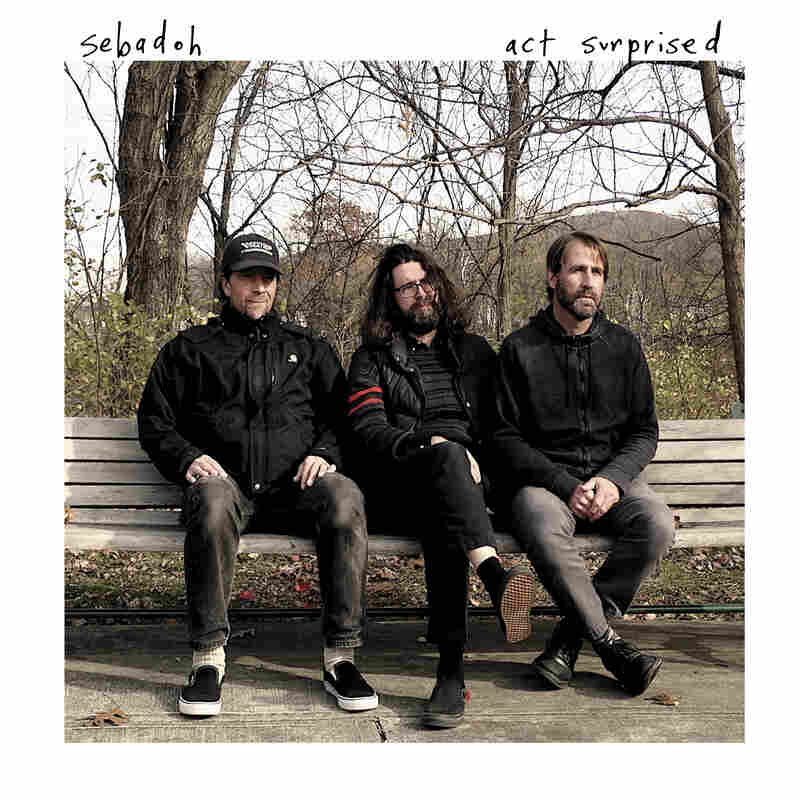 Sebadoh, Act Surprised