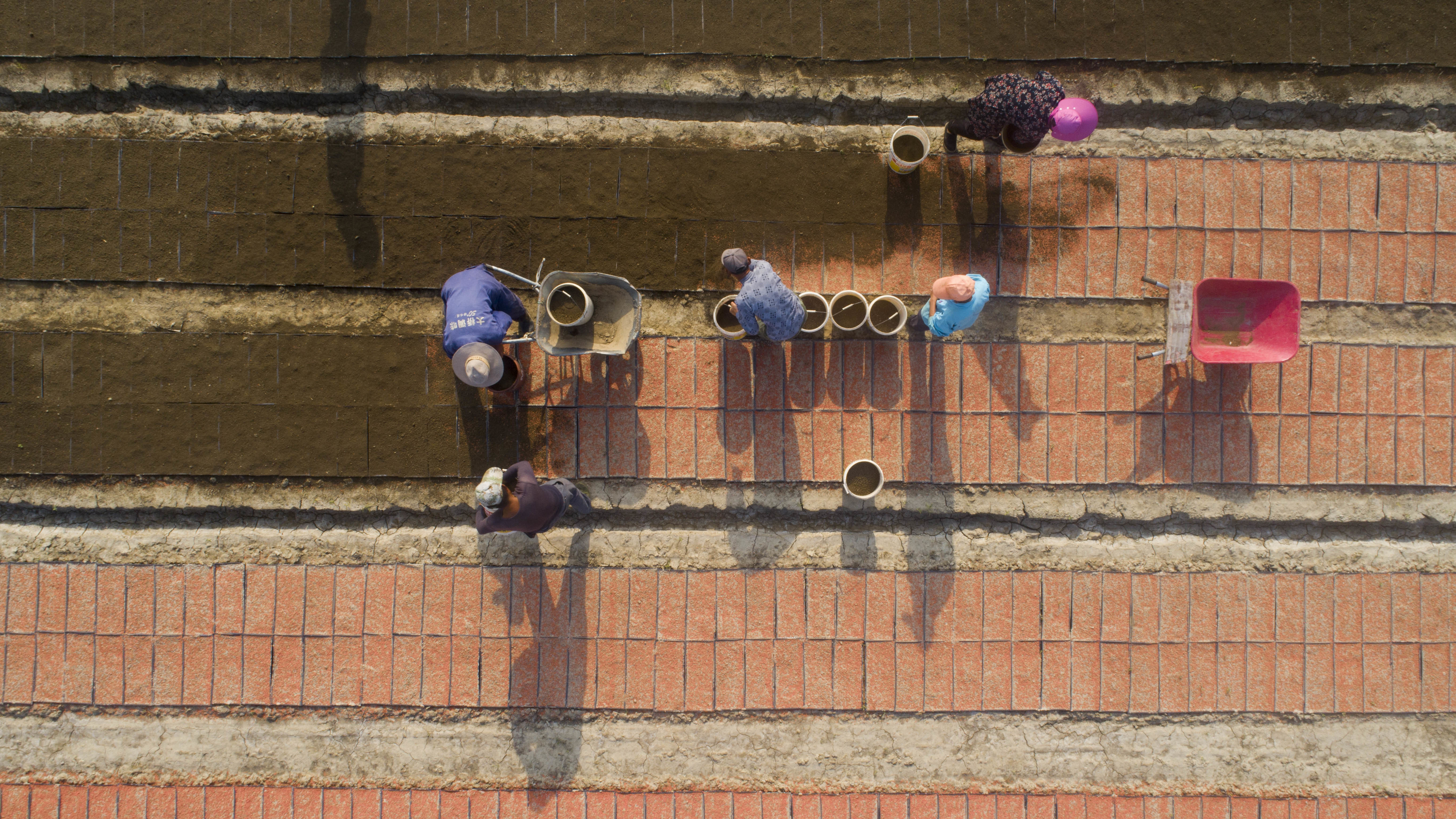 The new U.S. tariffs list includes staples such as rice, along with clocks, watches and other items that weren't previously under threat of new duties. Here, farmers plant rice seeds at a seedlings pool in China's Jiangsu province. (VCG via Getty Images)