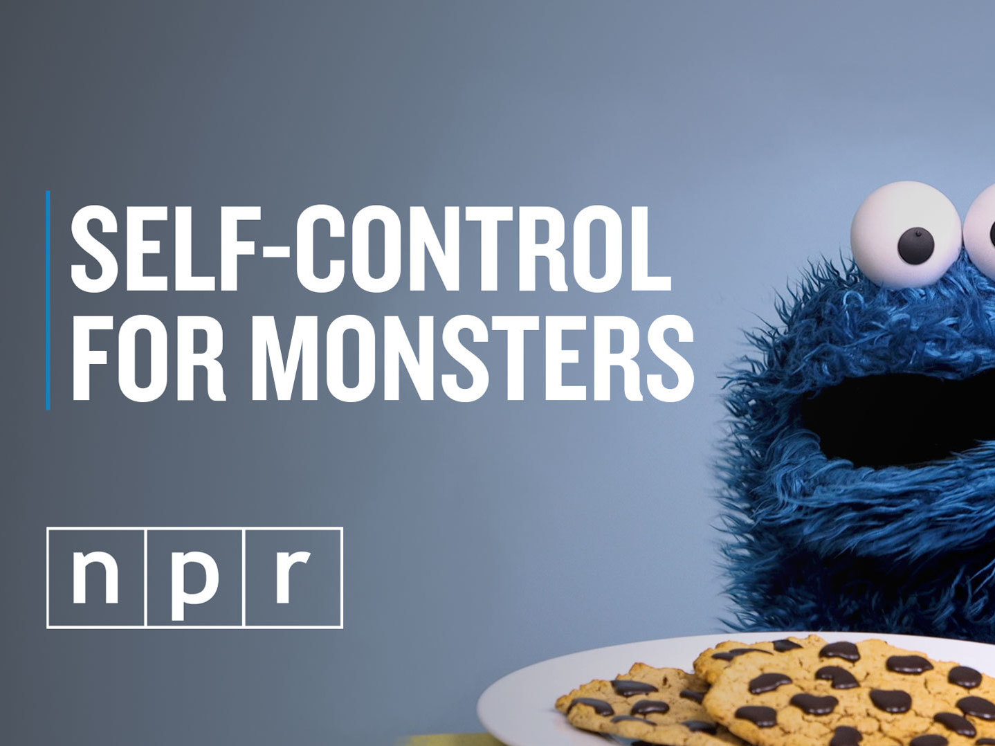 Cookie Monster has several tricks to help keep his monster hands off those sweets. (NPR)