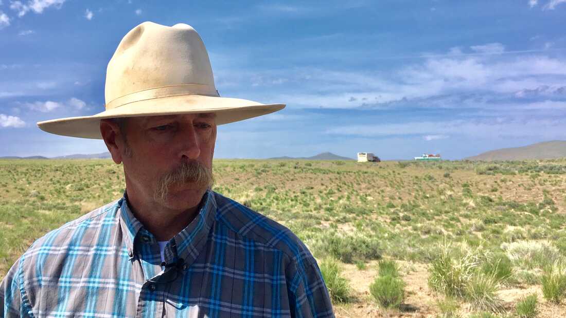 A Sea Of Sagebrush Disappears, Making Way For Fire-Prone Cheatgrass : NPR