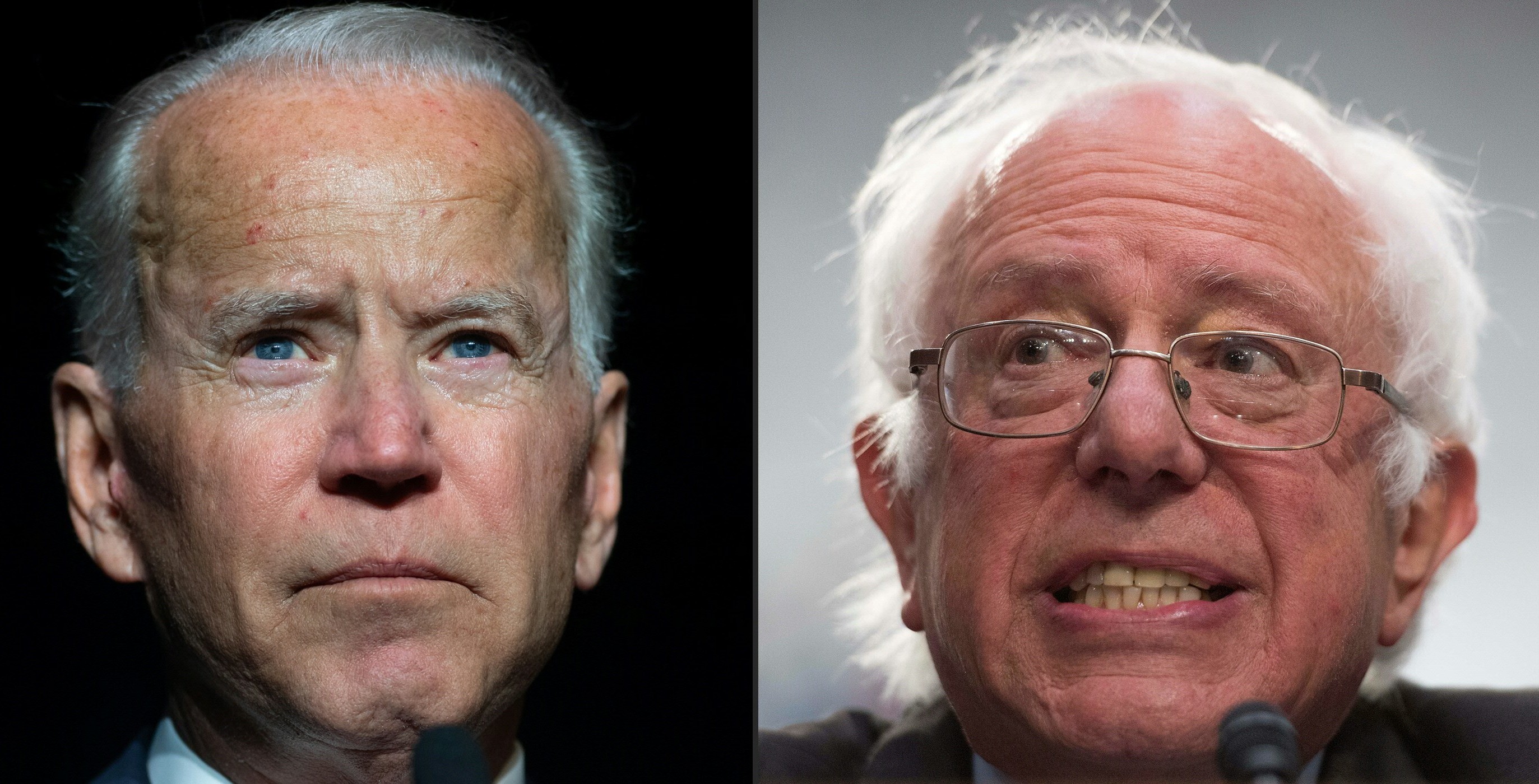 Former Vice President Joe Biden (left) and Sen. Bernie Sanders of Vermont are putting forward very different visions in the Democratic presidential primary. (AFP/Getty Images)