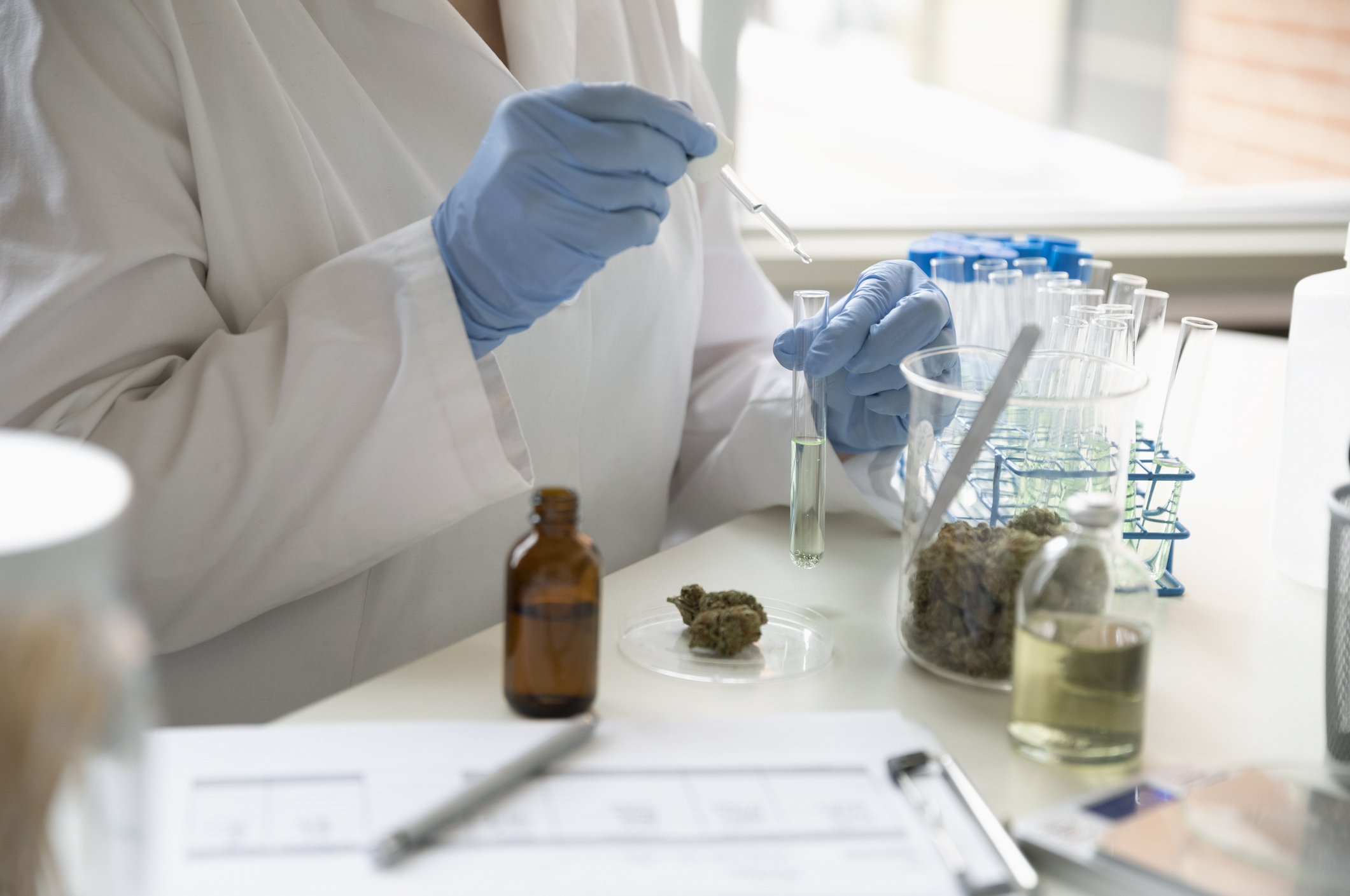 Cannabidiol, or CBD, is a compound that can be extracted from marijuana or from hemp. It doesn't get people high because it doesn't contain THC, the psychoactive component of the cannabis plant. (Getty Images)