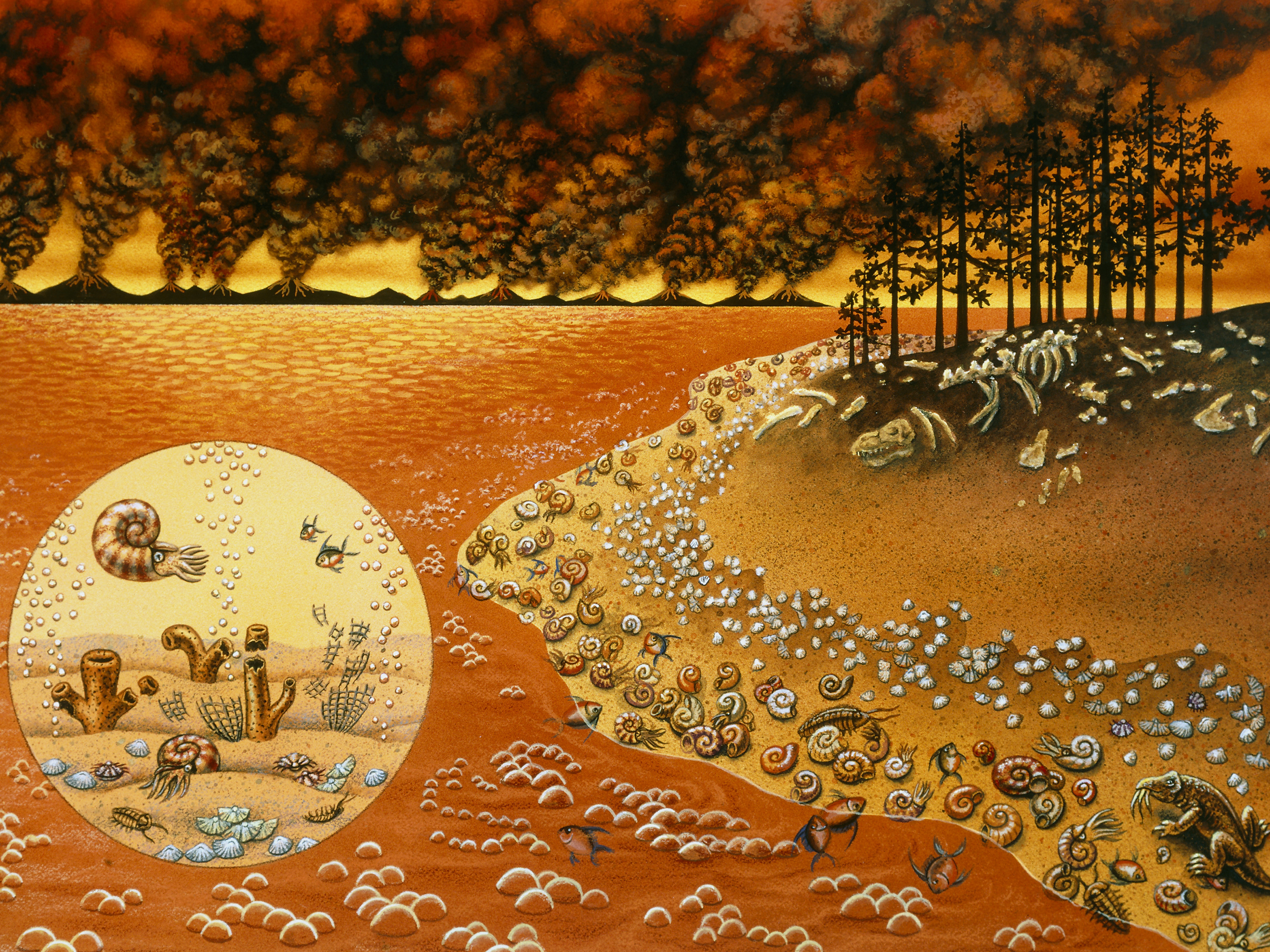 The 'Great Dying' Nearly Erased Life On Earth. Scientists See Similarities To Today