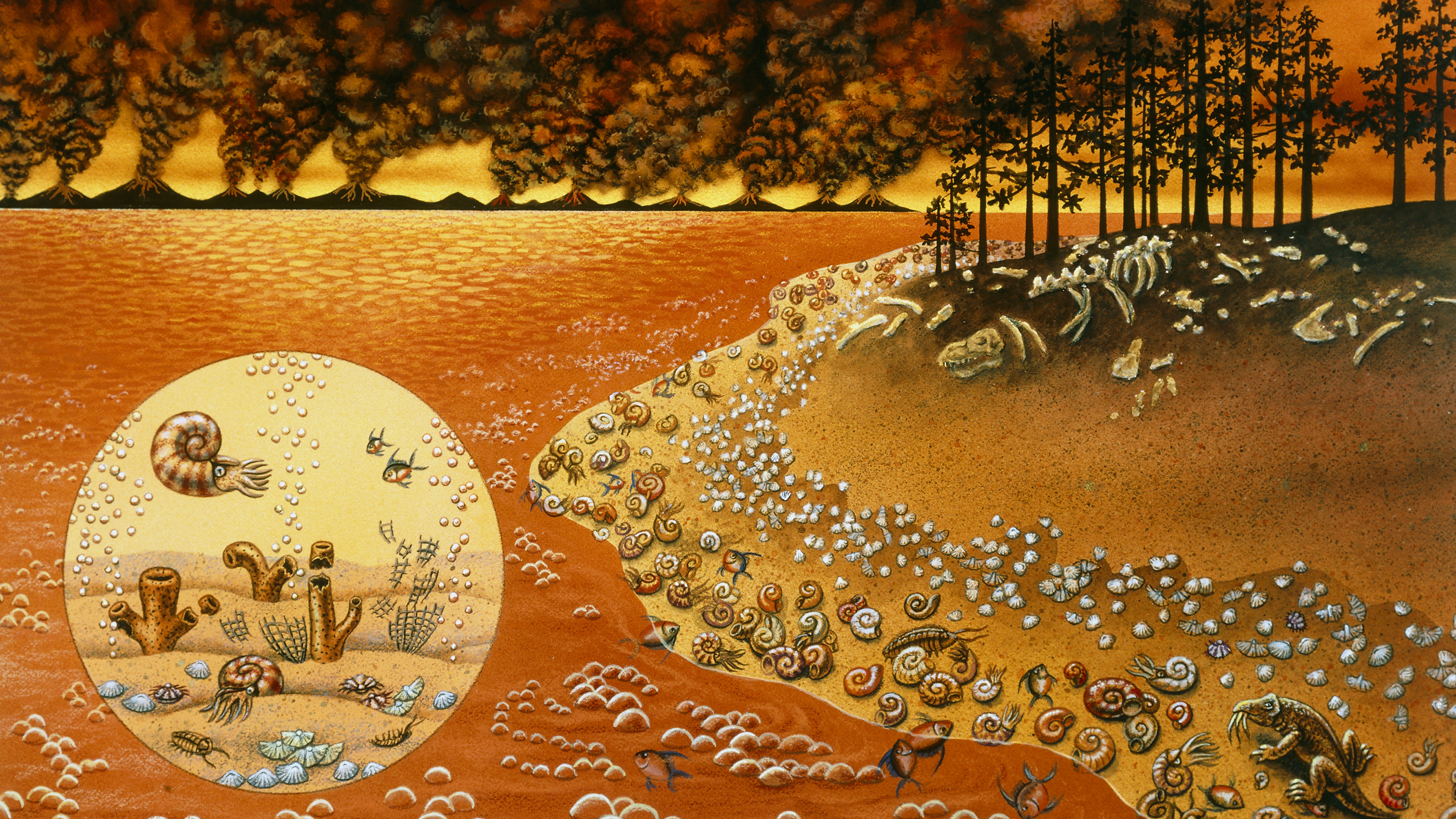 The 'Great Dying' Nearly Erased Life On Earth. Scientists See Similarities To Today - NPR thumbnail