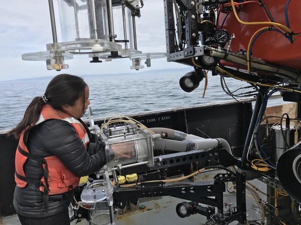 Marine biologist Anela Choy was lead scientist with the team researching microplastics on the research vessel Rachel Carson.