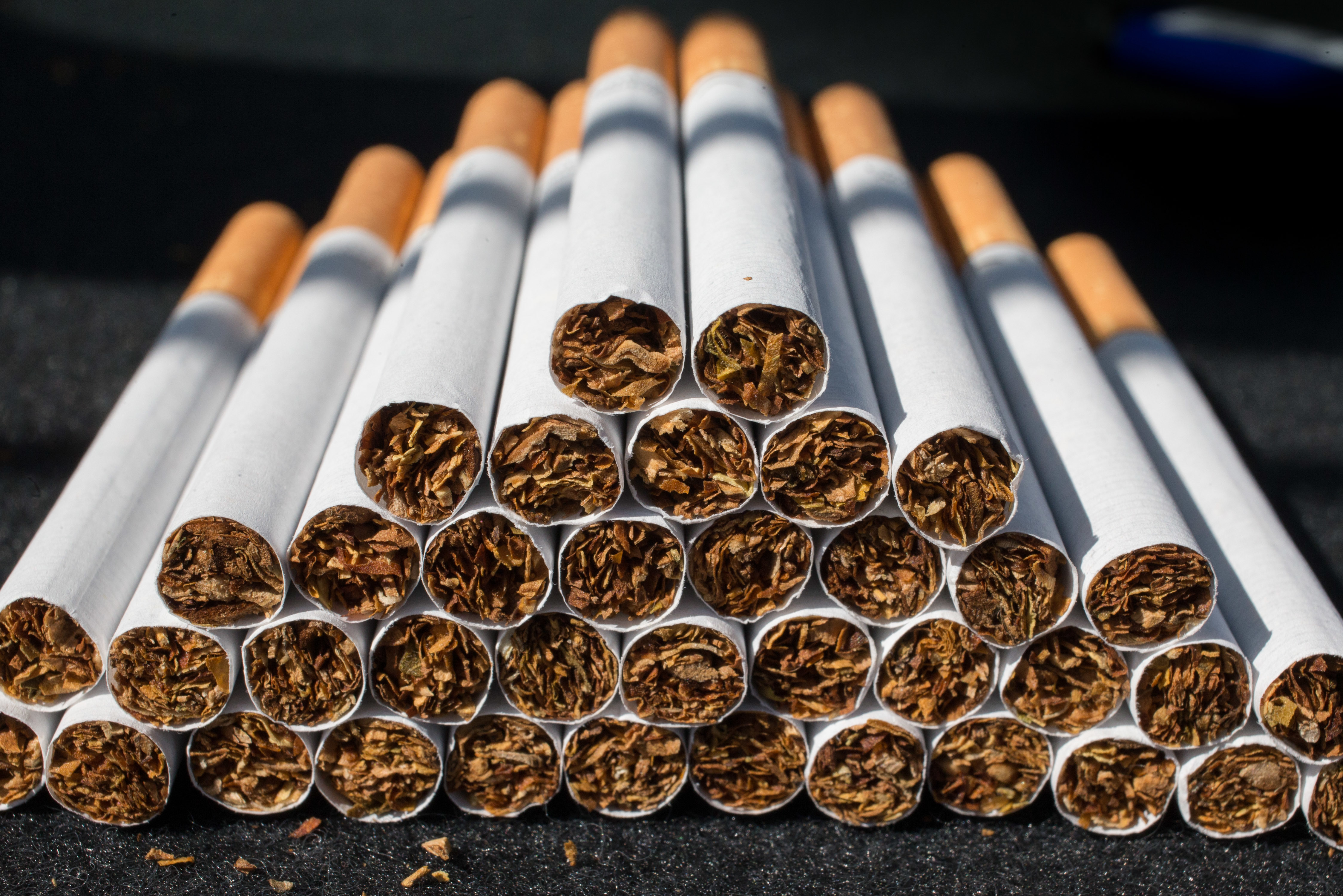 wild bill's tobacco napoleon Wild Bunch Wild Bill Cigars wild bill's tobacco napoleon Wild Bunch Wild Bill Cigars