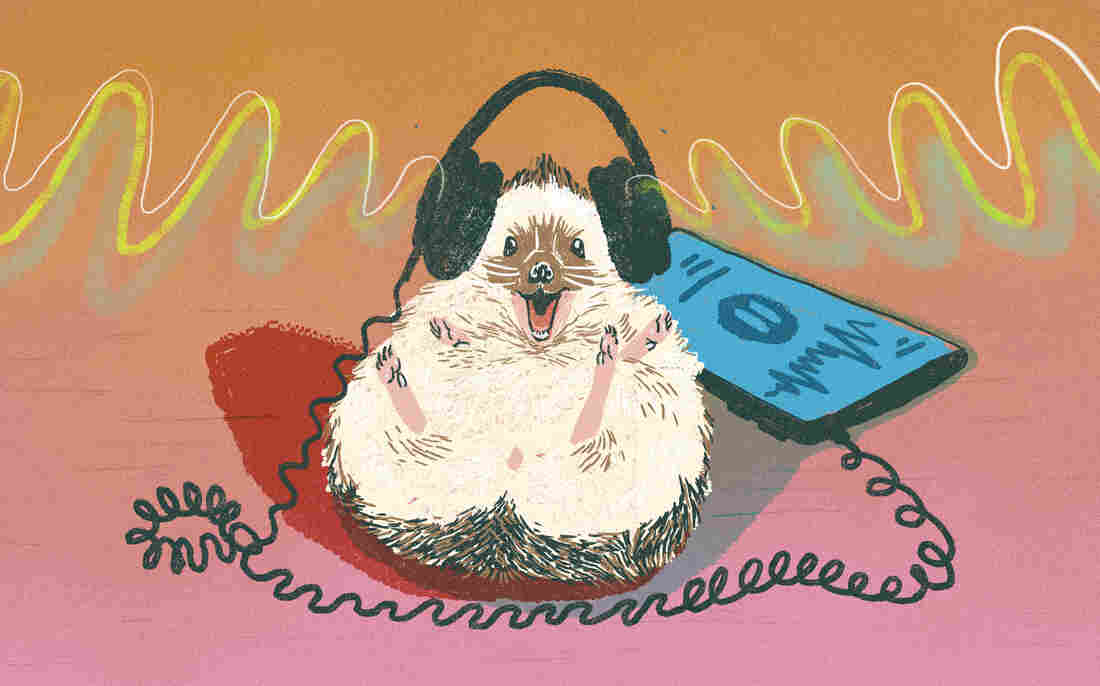 Student Podcast Challenge entries that made us smile.