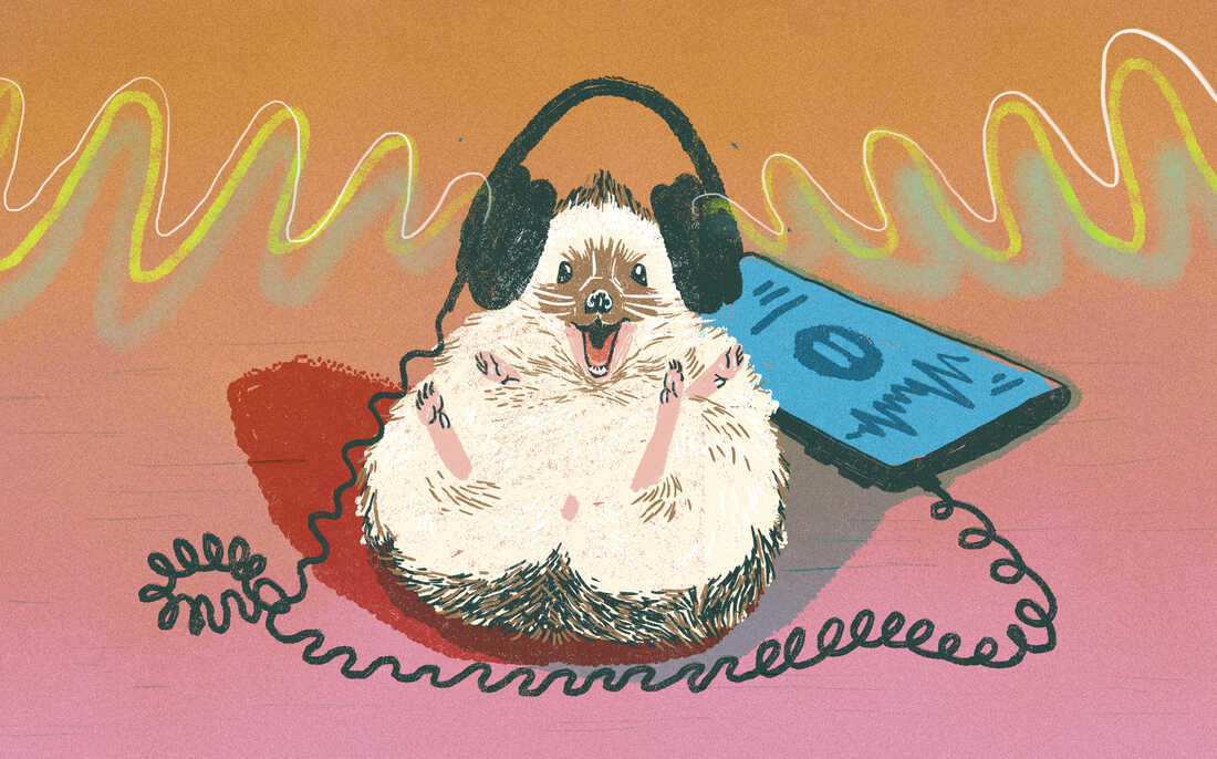 Student Podcast Challenge entries that made us smile.