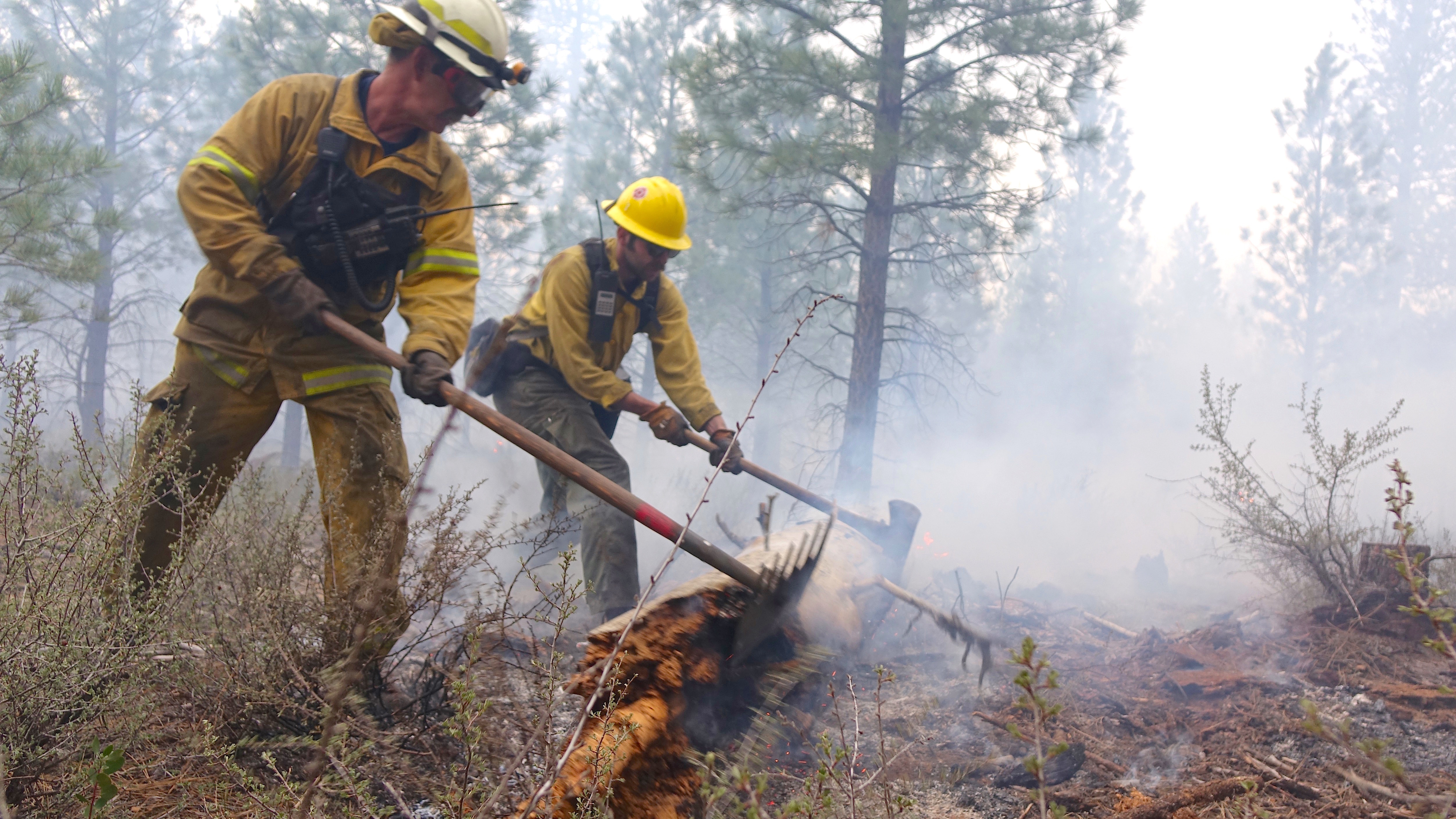 Firefighters who work on wildland fires and prescribed burns (shown here) can be exposed to high levels of harmful smoke. (OPB)